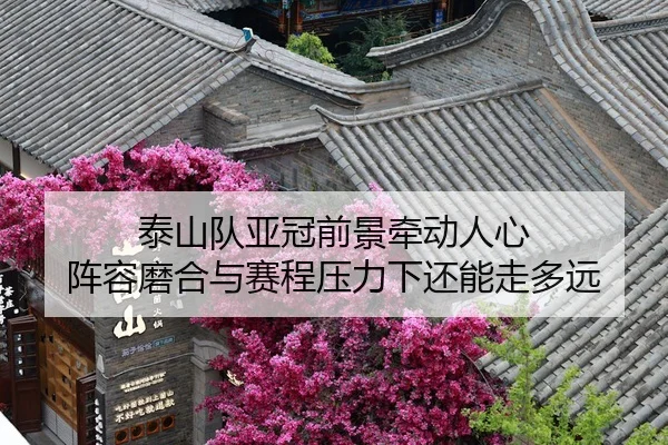 tai-shan-dui-ya-guan-qian-jing-qian-dong-ren-xin-zhen-rong-mo-he-yu-sai-cheng-ya-li-xia-hai-neng-zou-duo-yuan-3-436.jpg